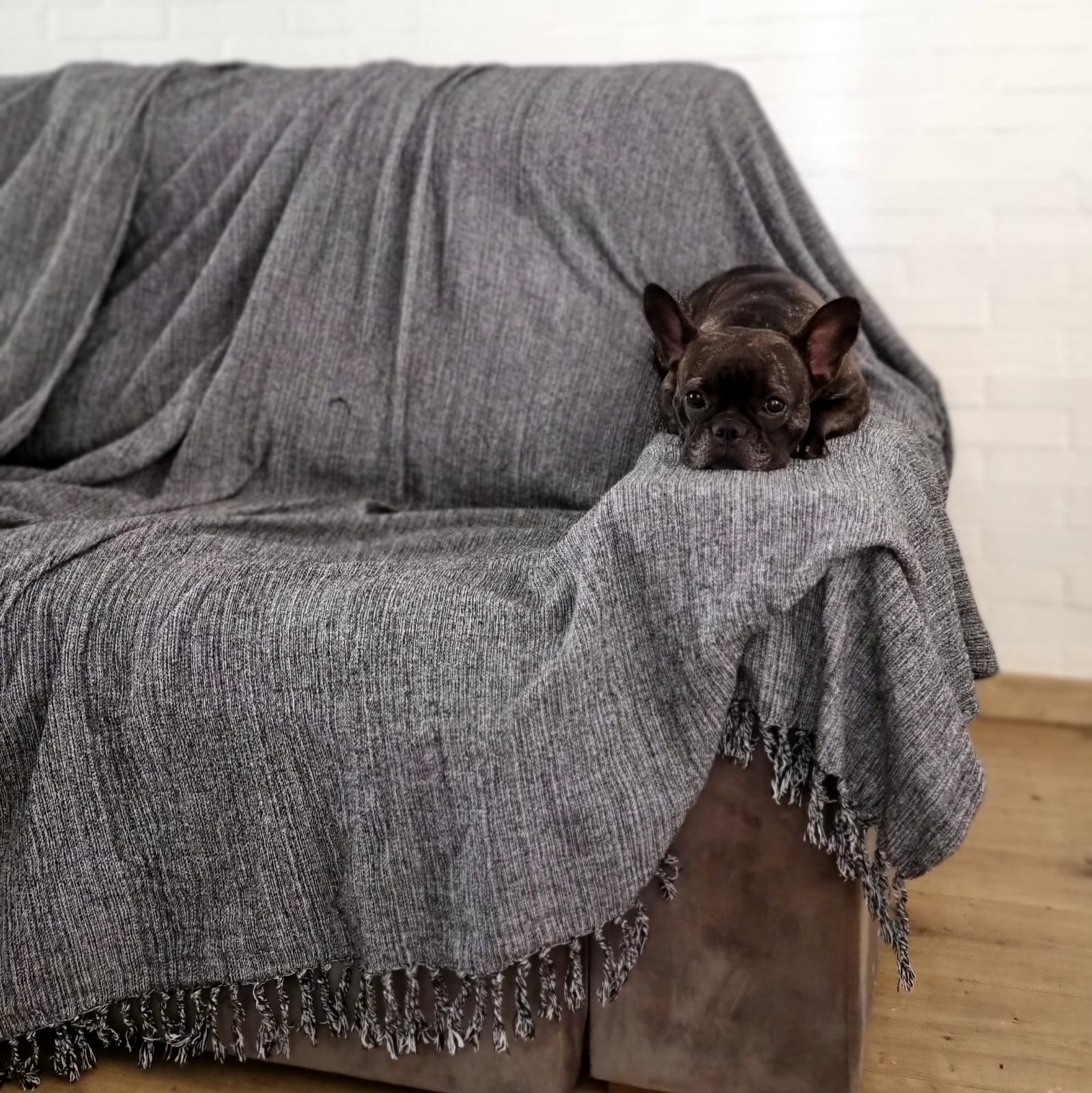 780012fd-2fda-4728-96a5-8edc380fdb8a