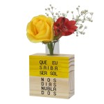 Cubinho-Ima-flower-Dias-nublados.