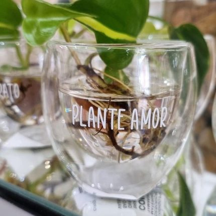 Xícara parede dupla P Plante amor de vidro - 80ML