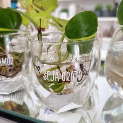 Xícara parede dupla P Seja Grato de vidro - 80ML