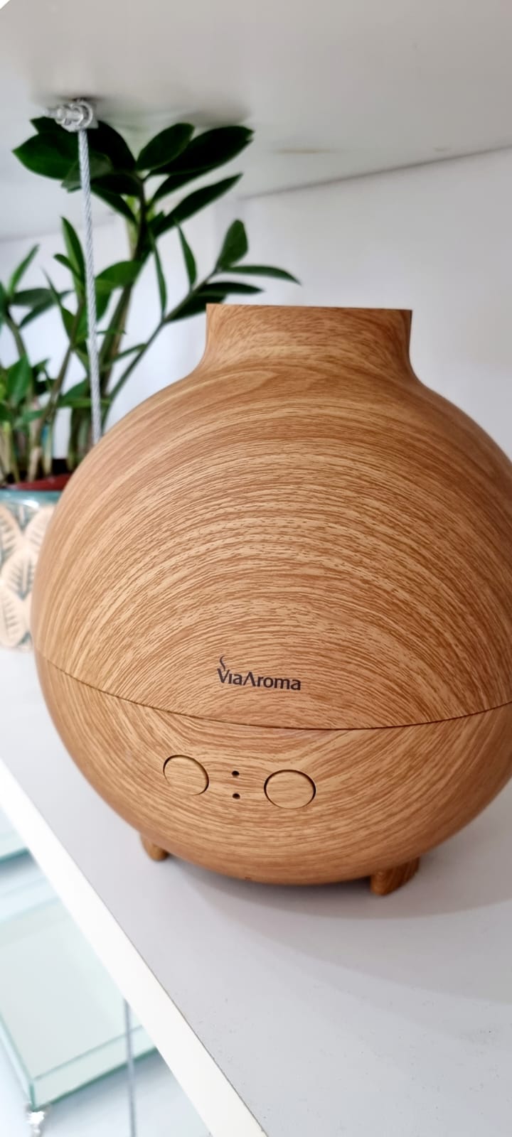 e099aba9-60b2-4129-b8e4-965d403805a3