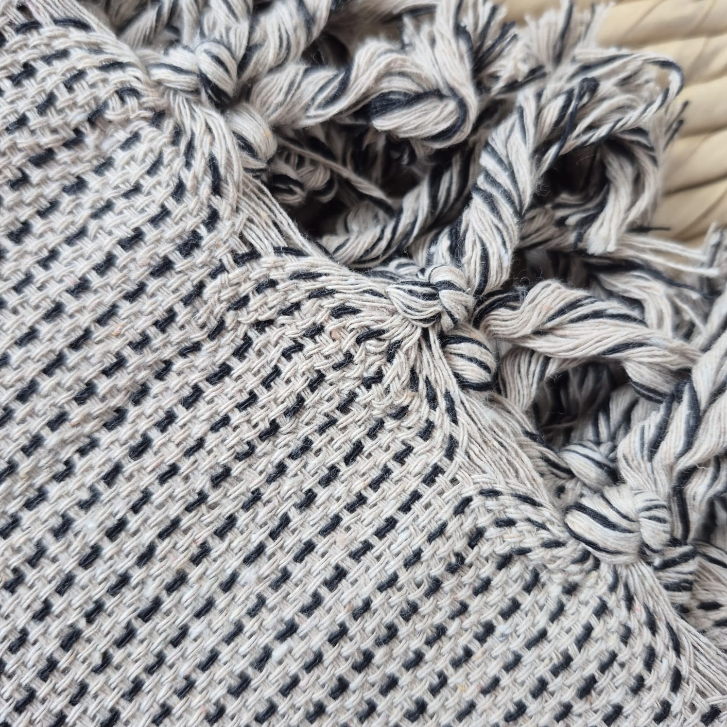 WhatsApp Image 2026-02-05 at 19.32.33 (2)